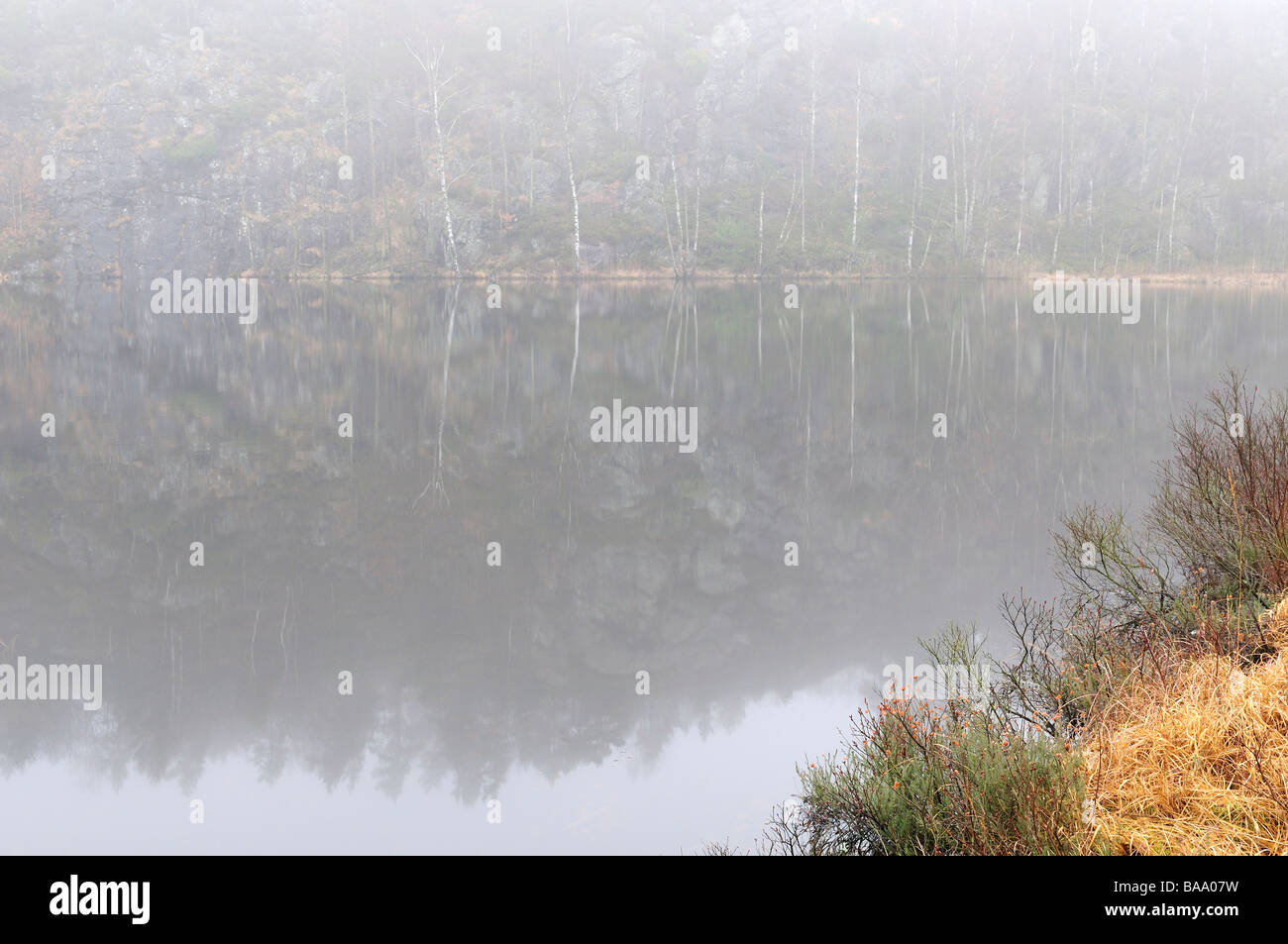 Fog by a lake Sweden Stock Photo