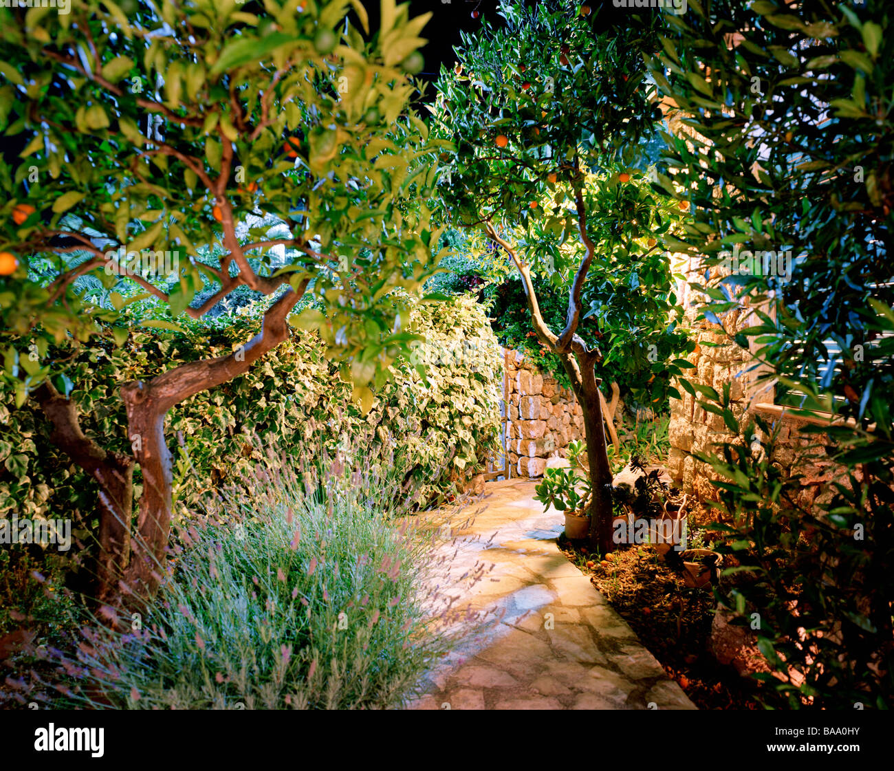 Night garden shrub lighting hi-res stock photography and images - Alamy