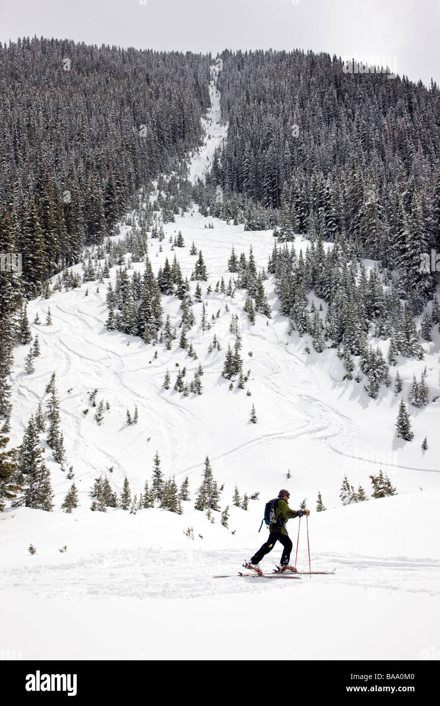 A skier traverses across the bottom of one of the runs at Silverton Mountain Silverton Colorado Stock Photo