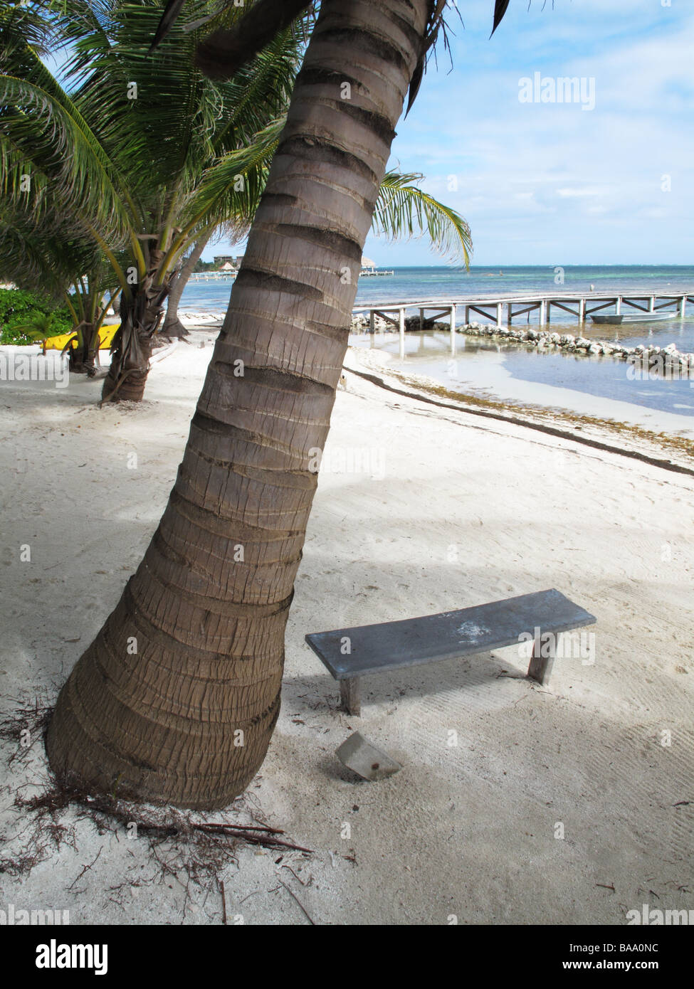 Sunrise and Empty Wooden Bench on Ambergris Caye in Belize Stock Photo