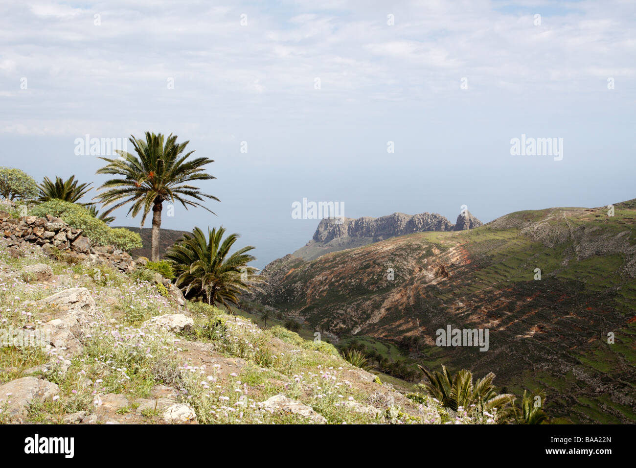 Palm trees and sea view in the Majona Nature Reserve, Gomera Stock Photo
