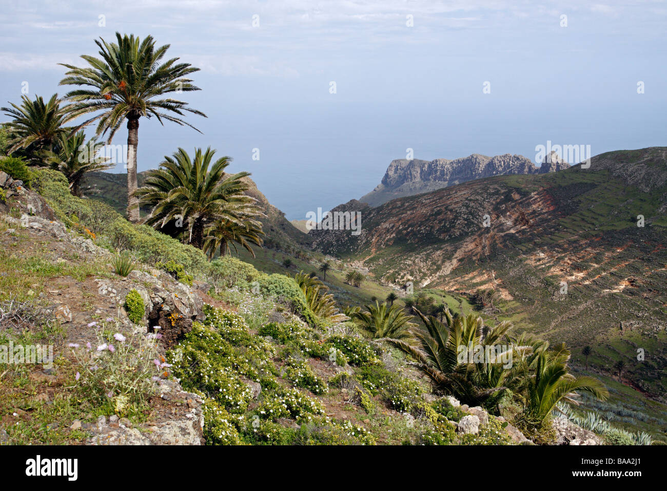 Palm tree sea view hi-res stock photography and images - Alamy