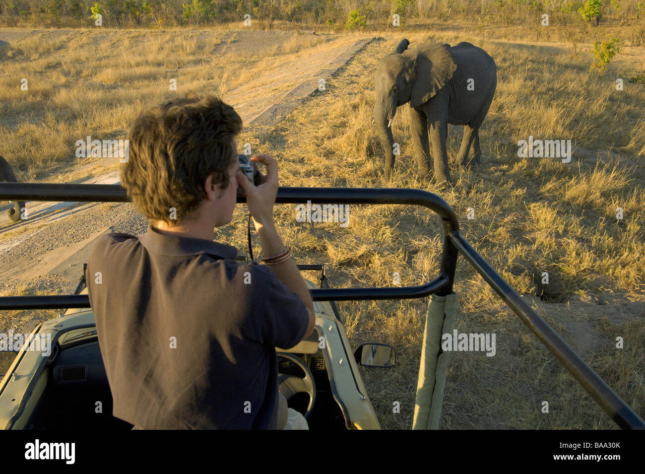 a-tourist-watches-a-herd-of-elephants-in-zimbabwe-s-hwange-national
