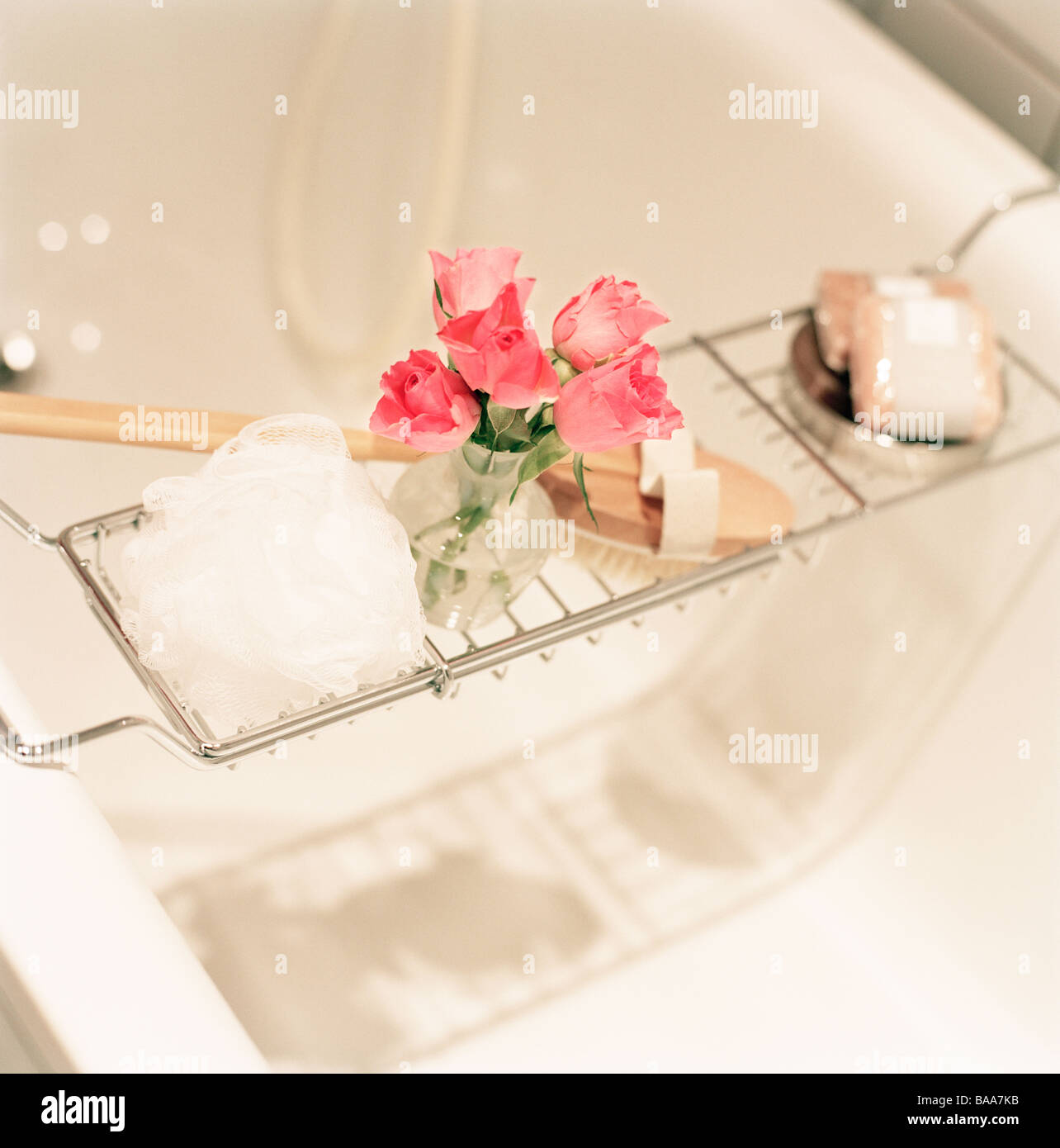 Roses in a bathtub, Stockholm, Sweden. Stock Photo