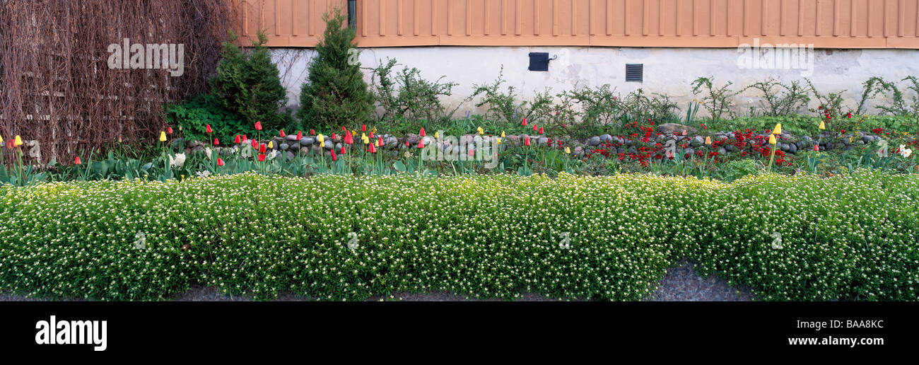 Stone walls wild flowers hi-res stock photography and images - Alamy