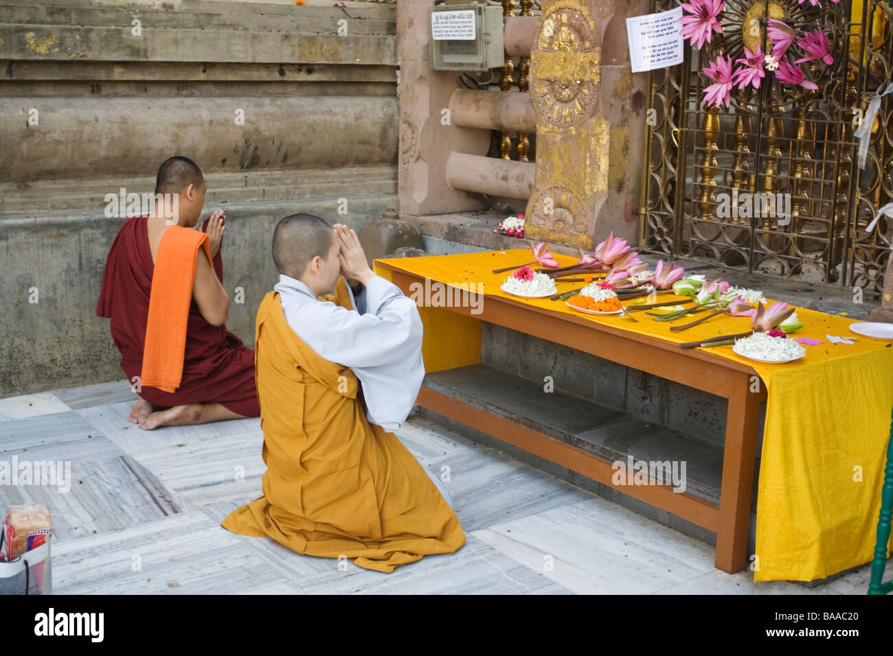 Buddhists praying at the Bodhi Tree at the Mahabodhi temple in Bodhgaya Stock Photo