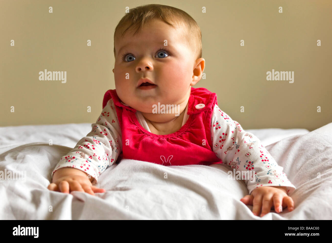 Big eyes hi-res stock photography and images - Alamy