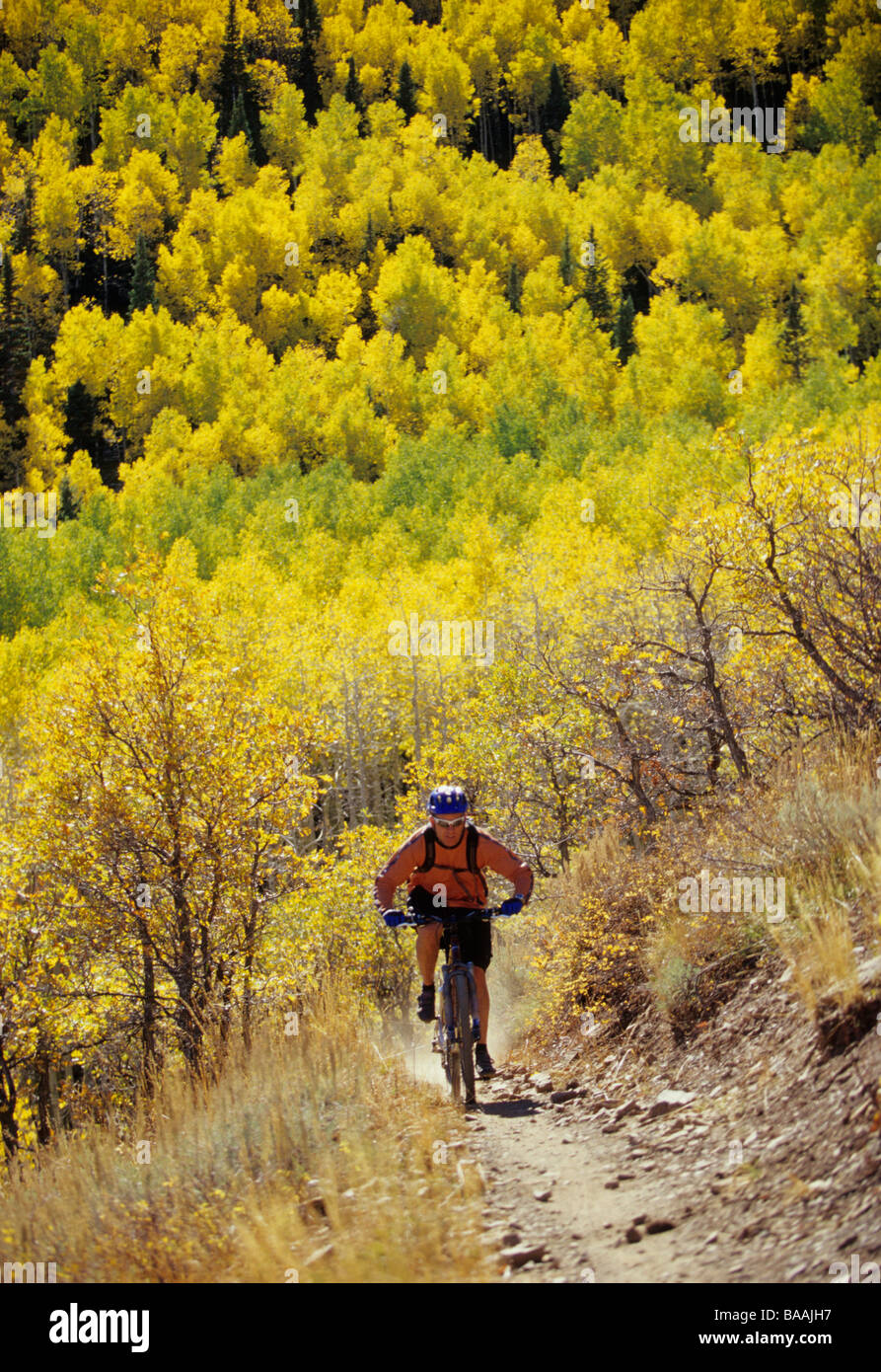 Man fall mountain biking in Park City, Utah Stock Photo Alamy