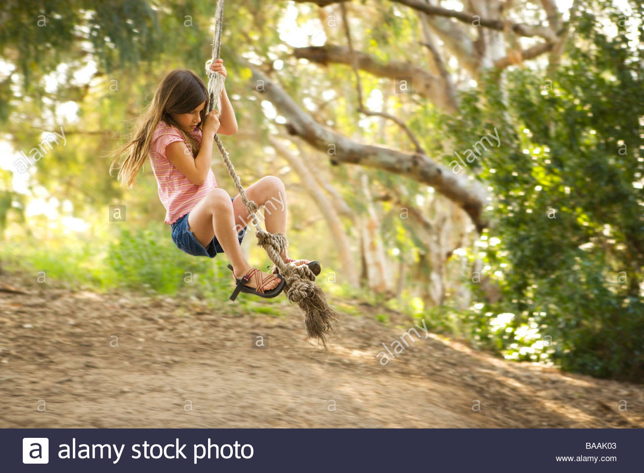 A young girl swings from a rope swing on a sunny afternoon in Gum Stock