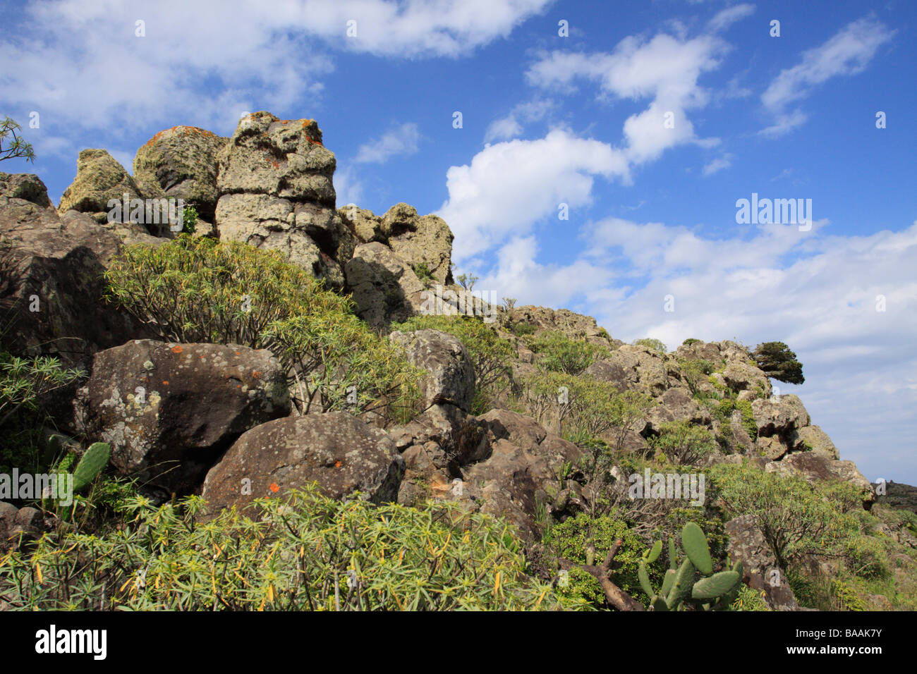 A ridge in the Majona Natural Reserve on La Gomera Stock Photo