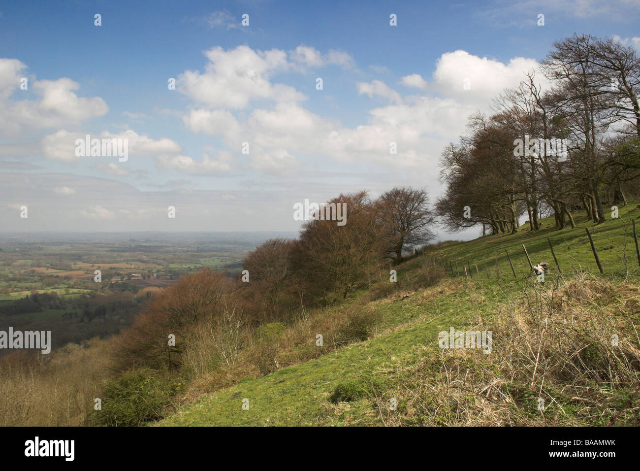 The slopes of Chanctonbury Ring overlooking the Sussex Weald, West Sussex. Stock Photo