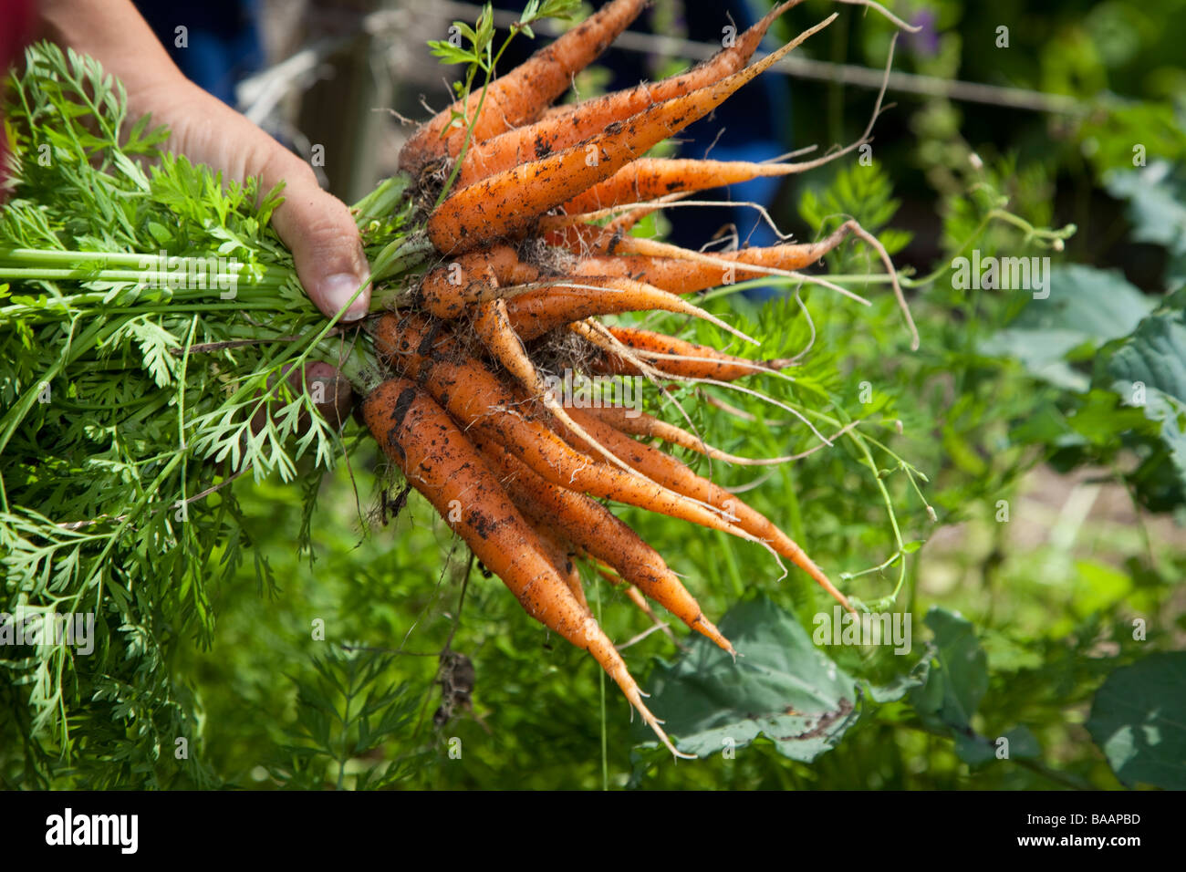 Farm coop hires stock photography and images Alamy