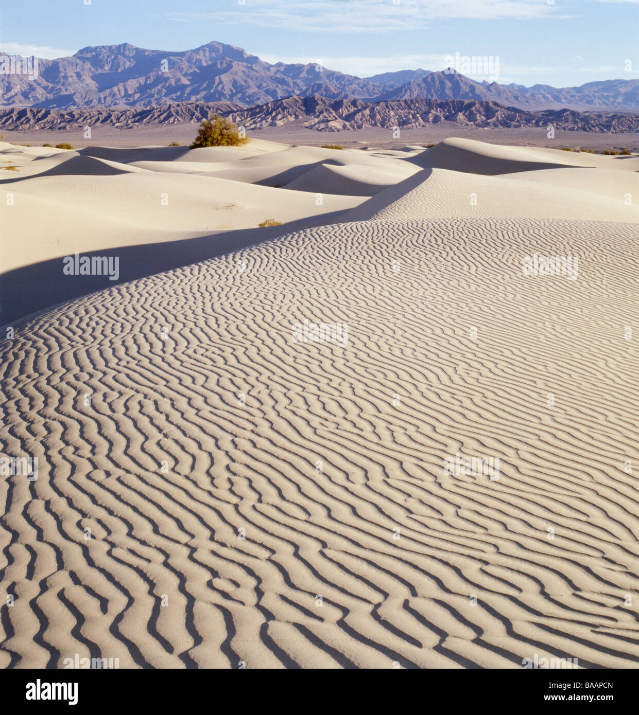 Sand Ripls Ripples on sand Stock Photo - Alamy