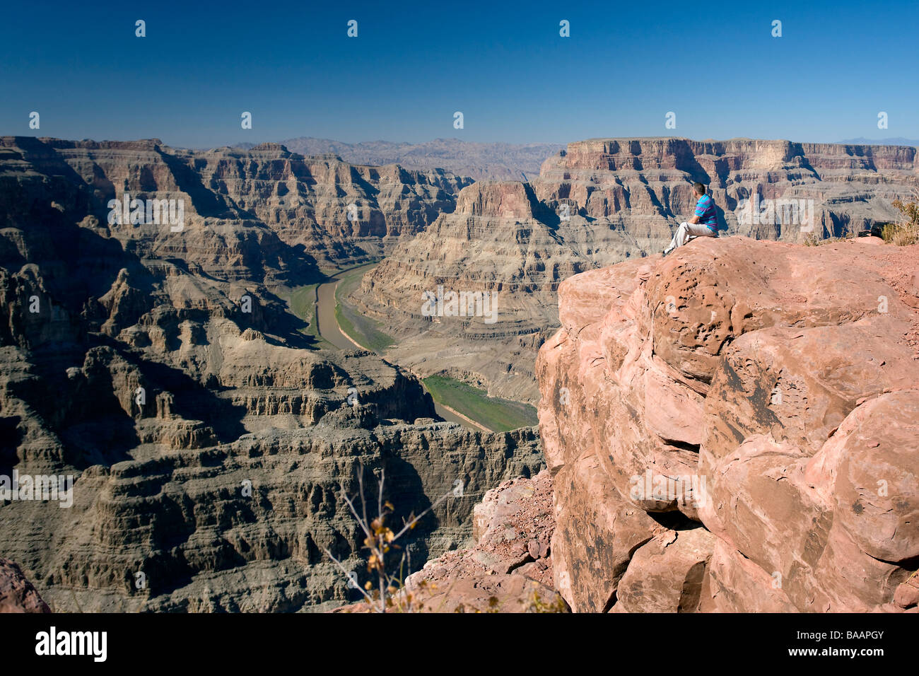 A Man Person Looks Out Over The Grand Canyon Arizona United States USA Stock Photo