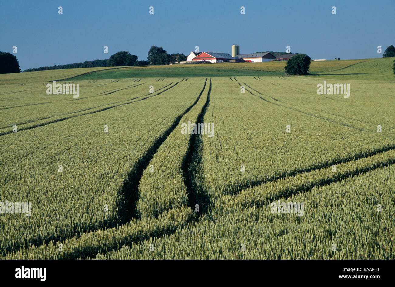 Field with houses in background Stock Photo - Alamy