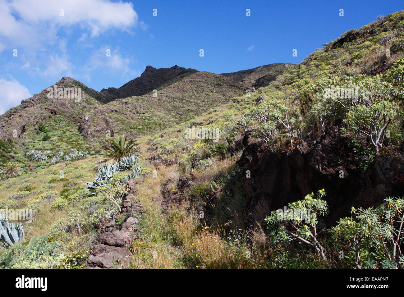 Near Las Casetas, La Gomera, Canary Islands Stock Photo