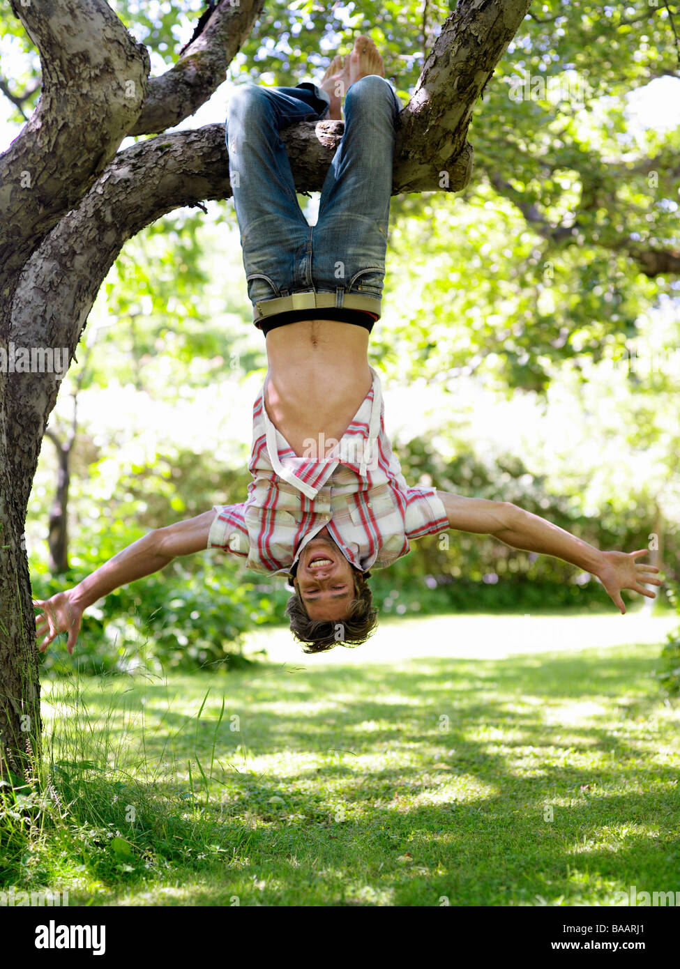 A man hanging upside down on a tree branch, Stockholom, Sweden. Stock Photo