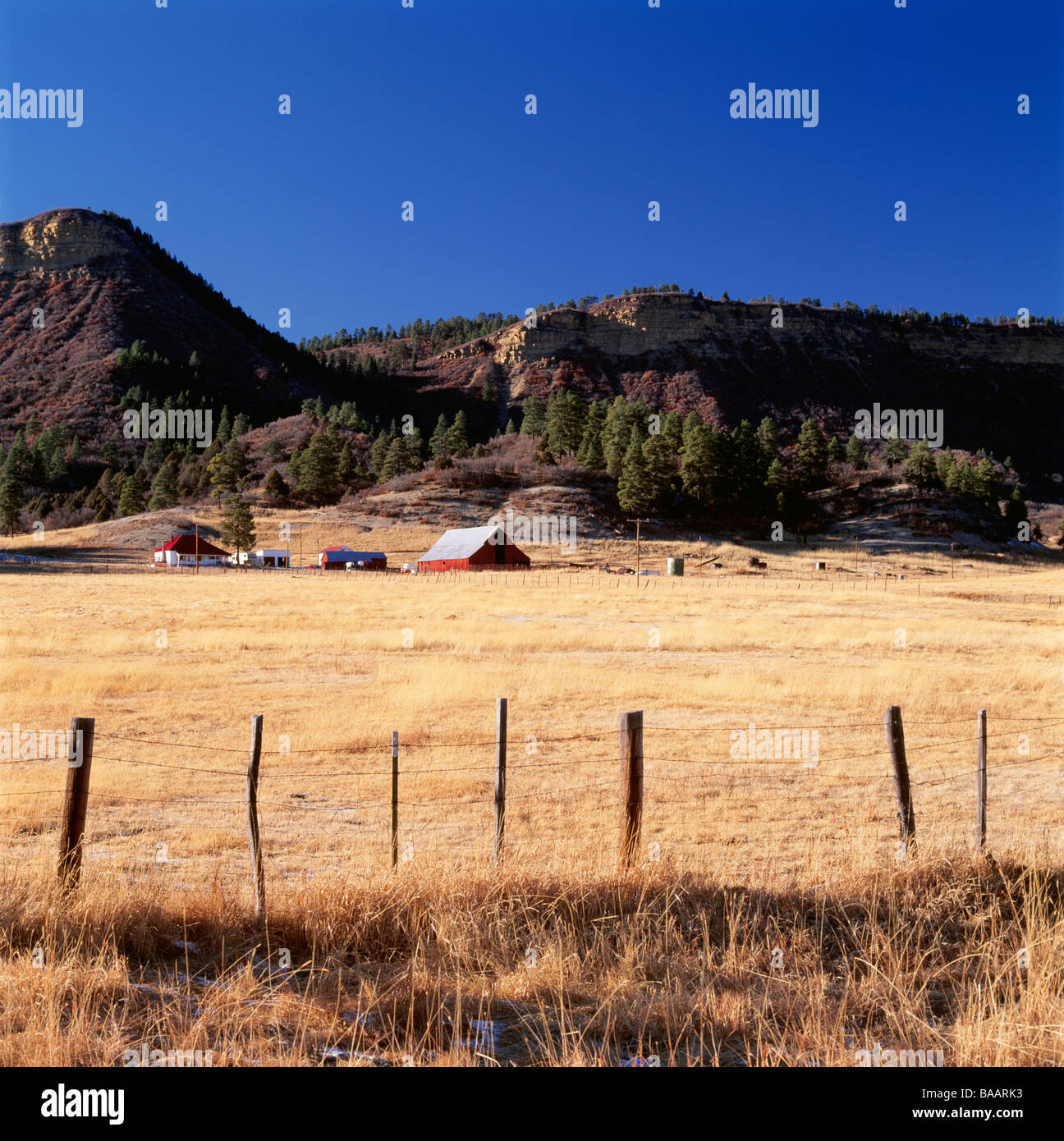 Houses on field with mountain in background Stock Photo