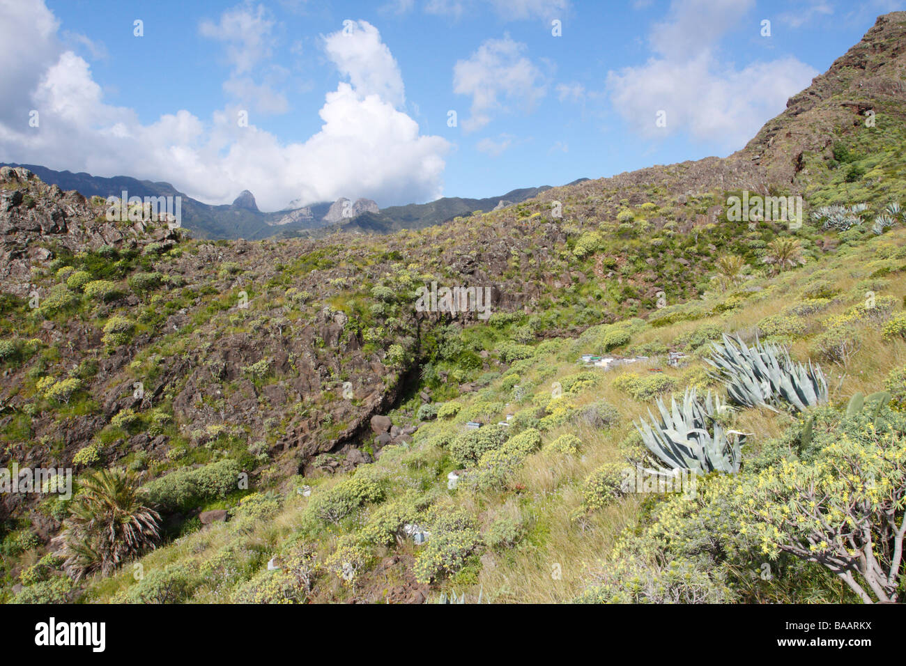 Near Las Casetas, La Gomera, Canary Islands. The Roques can be seen in the distance. Stock Photo