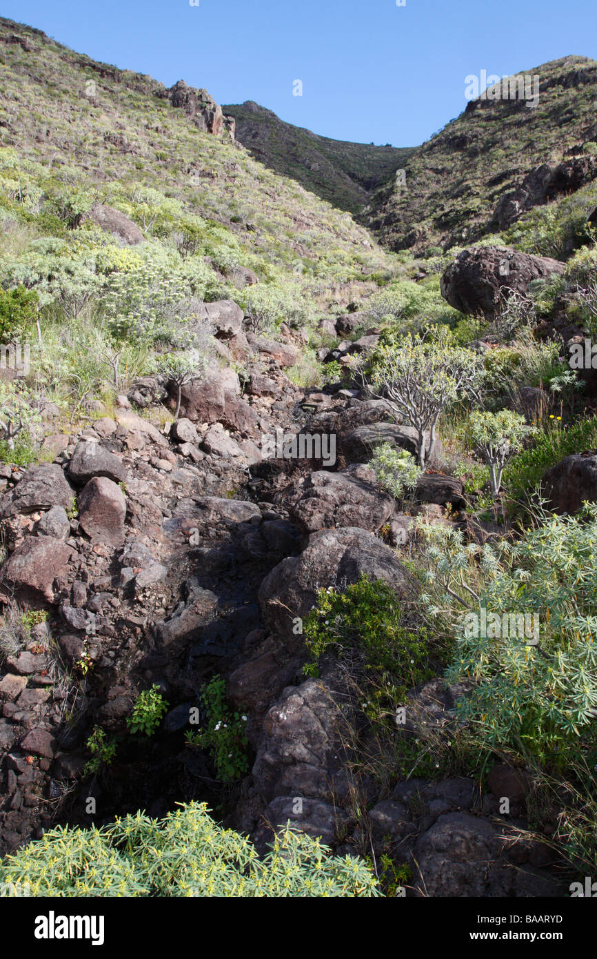 A small stream trickling down from the mountains near Las Casetas, Gomera Stock Photo