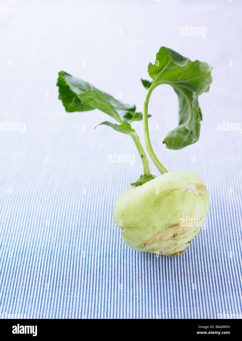 Turnip cabbage, close-up. Stock Photo