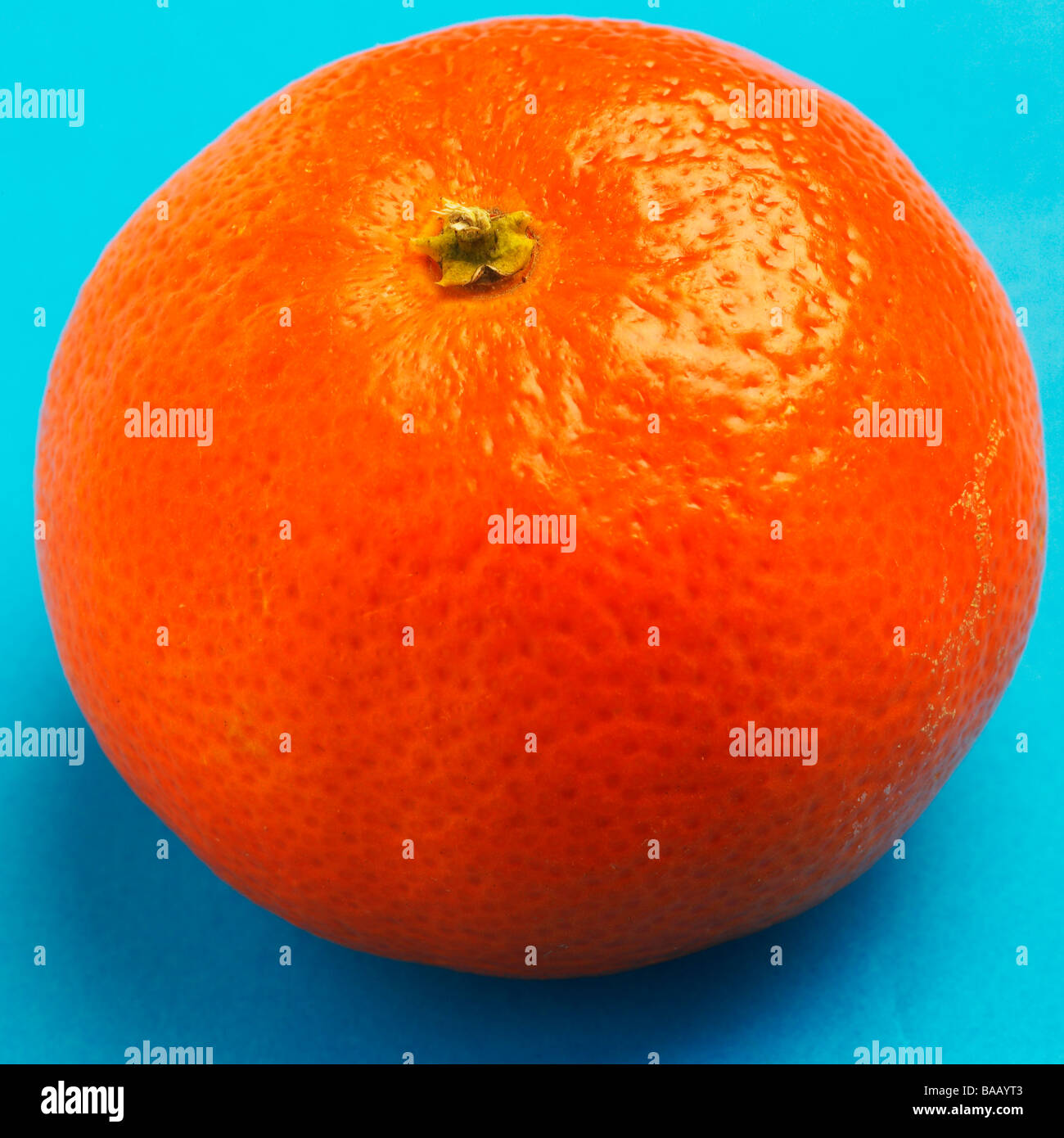 Tangerine orange on blue background Stock Photo