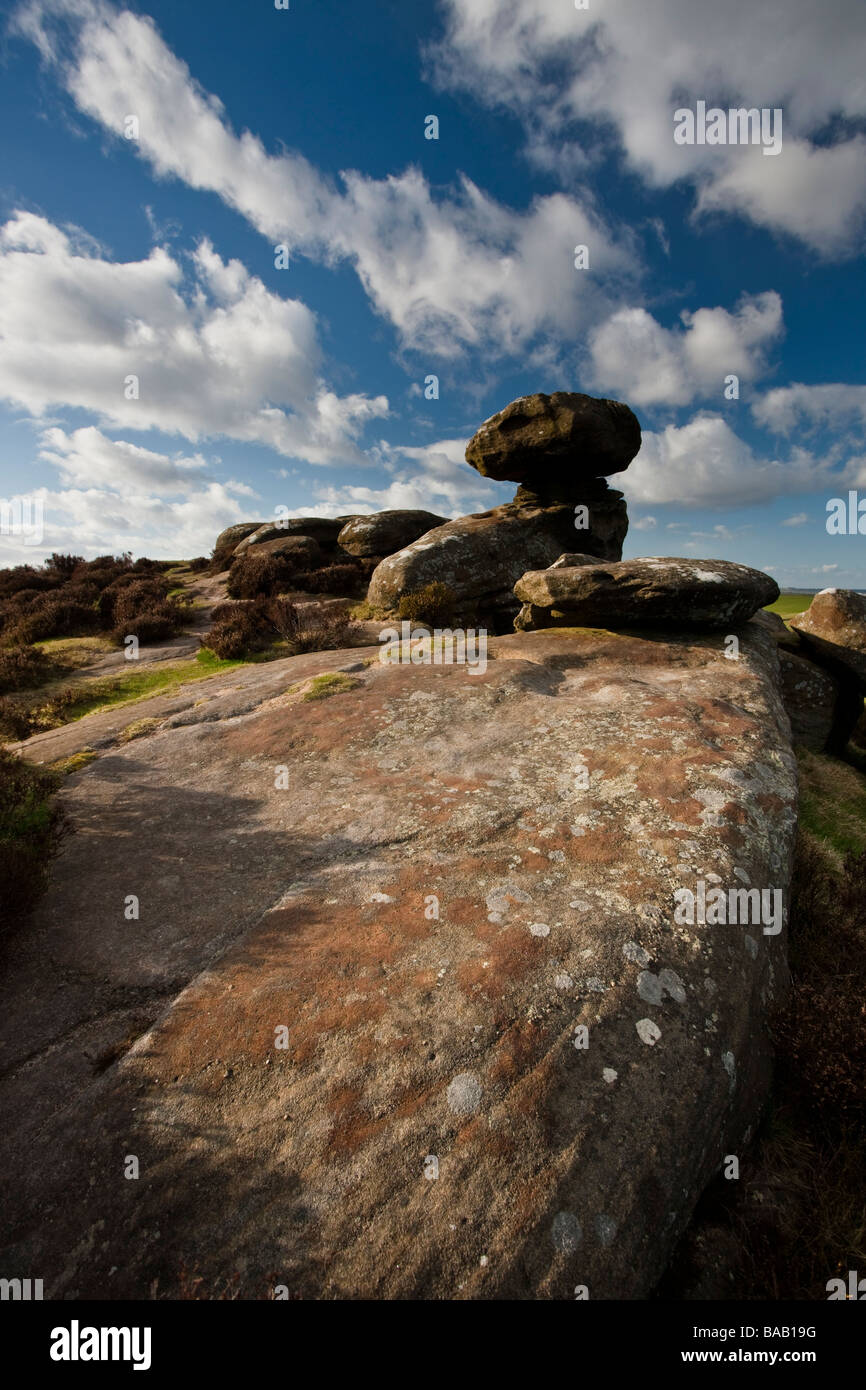Brimham Rocks near Ripon North Yorkshire part of the Nidderdale area of Outstanding Natural Beauty Stock Photo