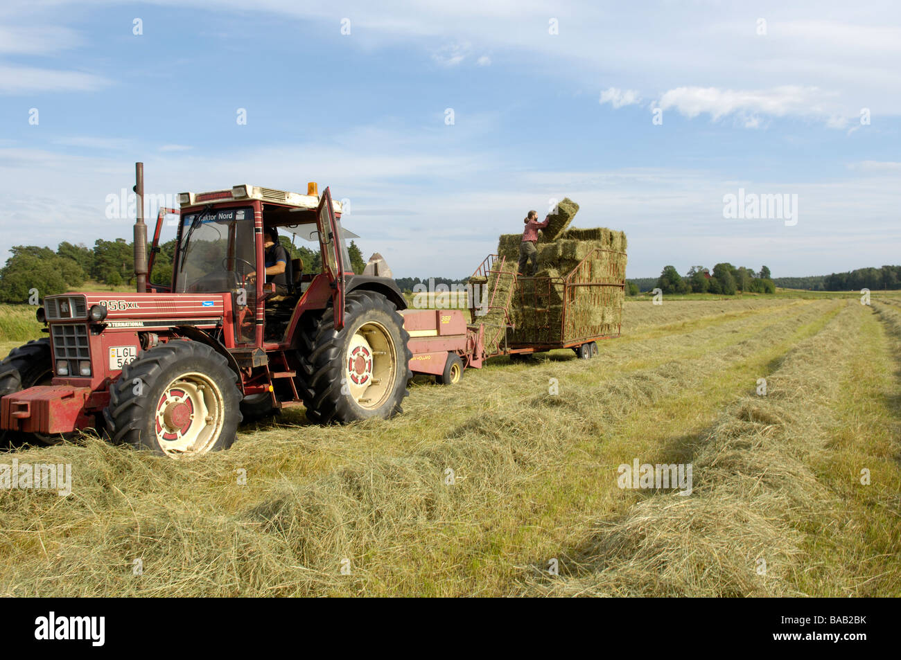 Farming Sweden Stock Photo Alamy