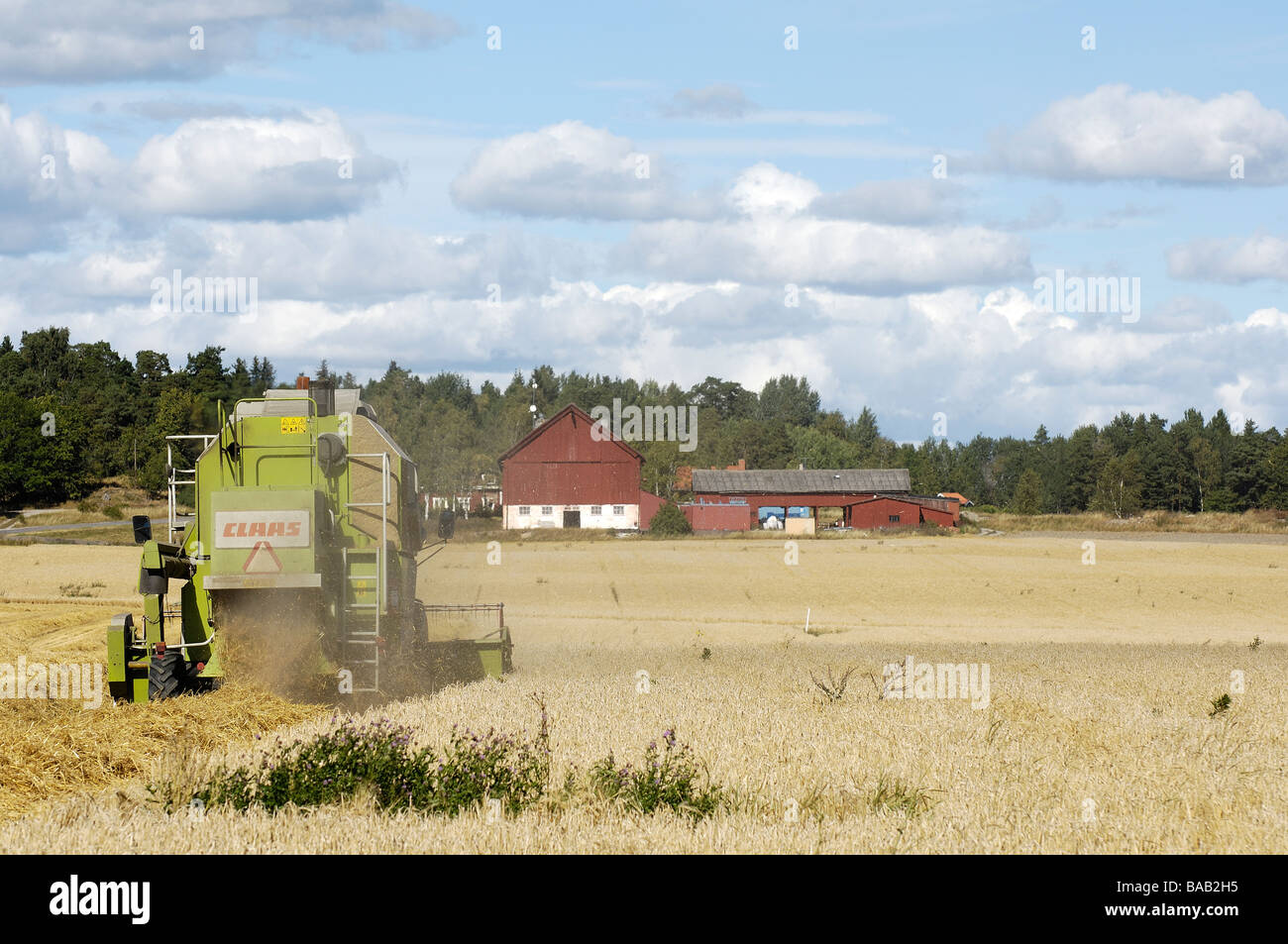 Farming Sweden Stock Photo 23600449 Alamy