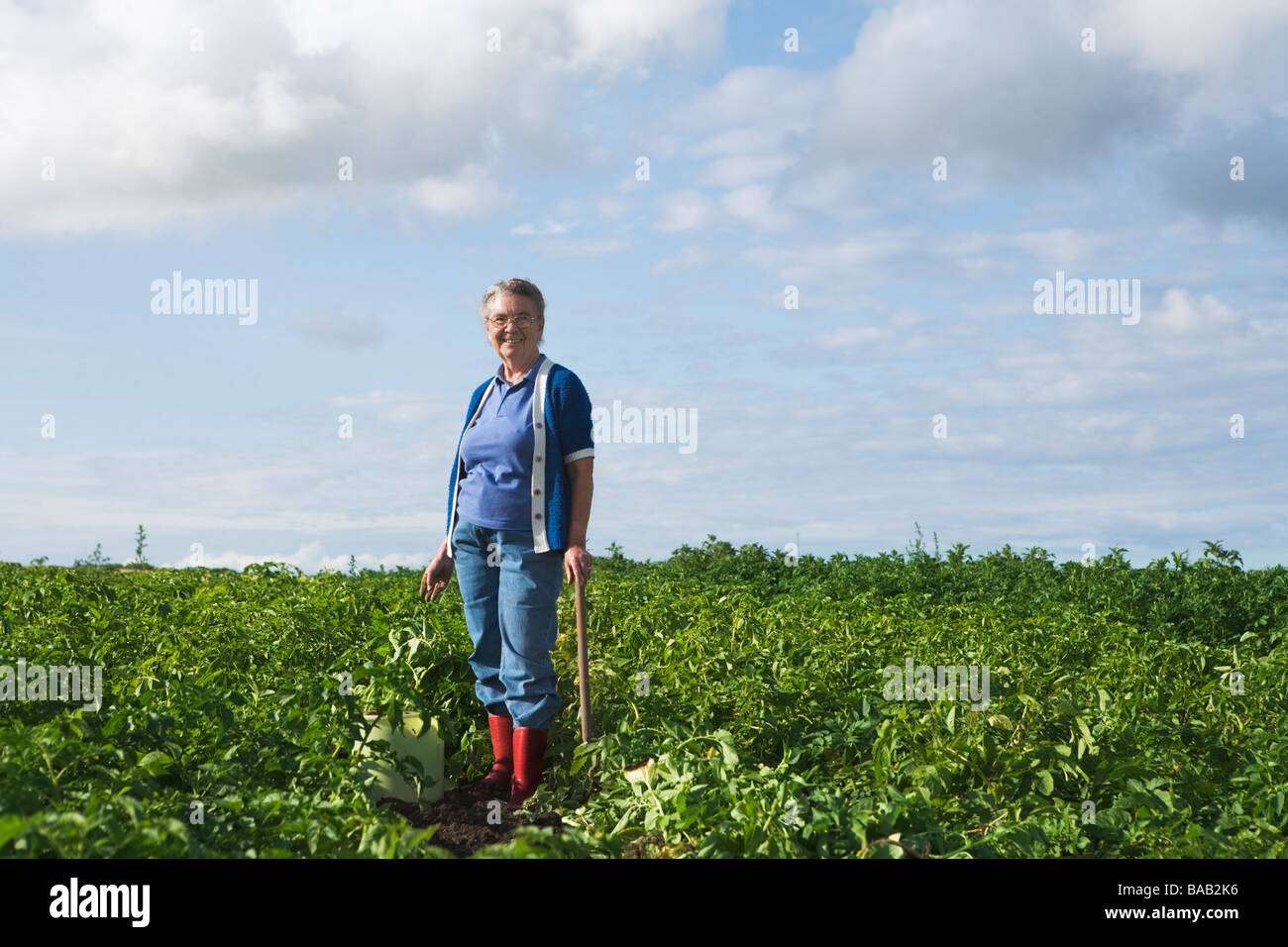 A woman standing in a potato-field, Skane, Sweden. Stock Photo