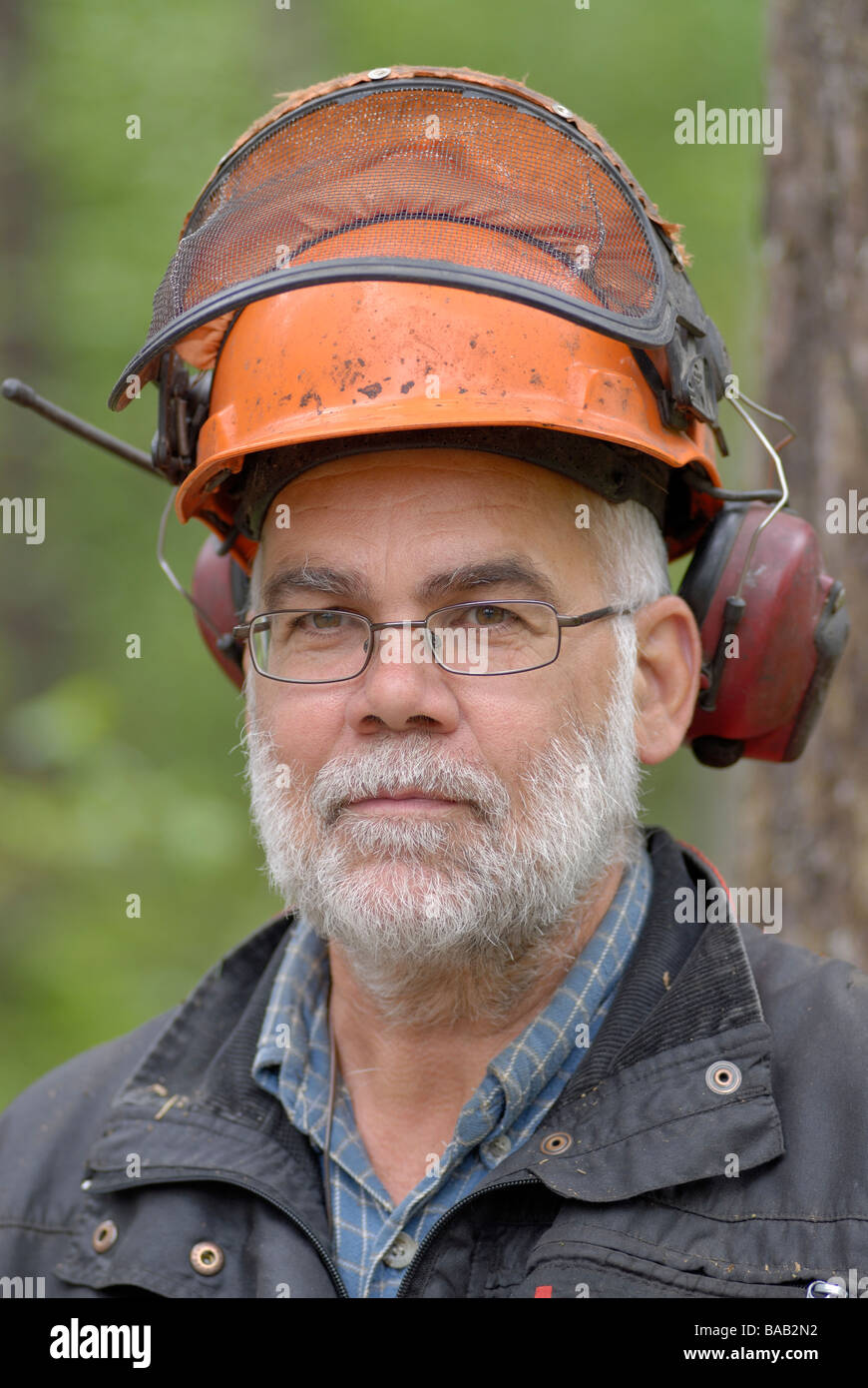 A woodman working Sweden Stock Photo Alamy