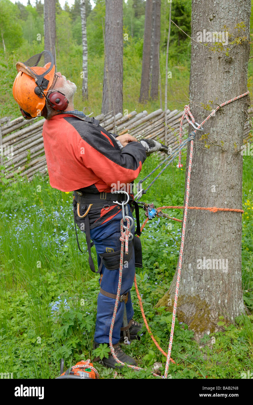 A woodman working Sweden Stock Photo Alamy