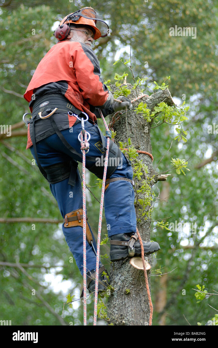 Woodman sweden hires stock photography and images Alamy