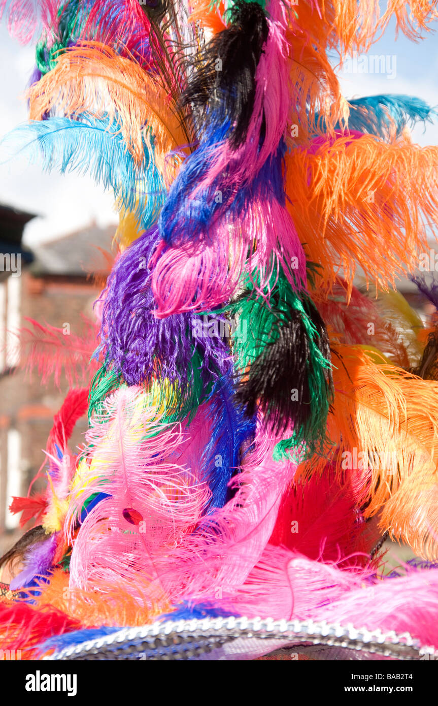 Feather plumes hi-res stock photography and images - Alamy