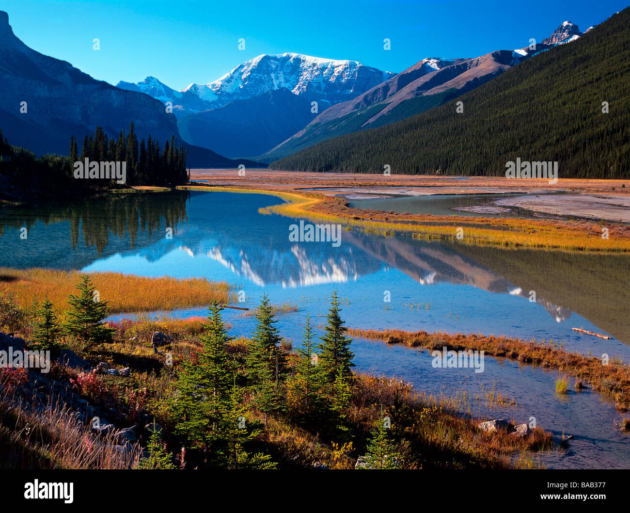 Canada, Alberta, Jasper NP. 11 519ft Mt. Kitchener reflected in a lagoon of the Sunwapta River. Stock Photo