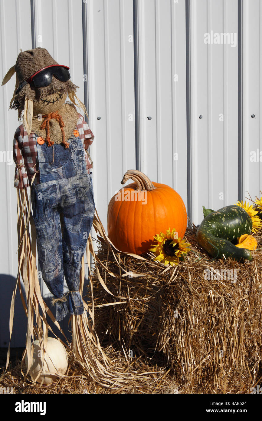 Dressed Dummy for Halloween Ohio autumn in USA United States Stock