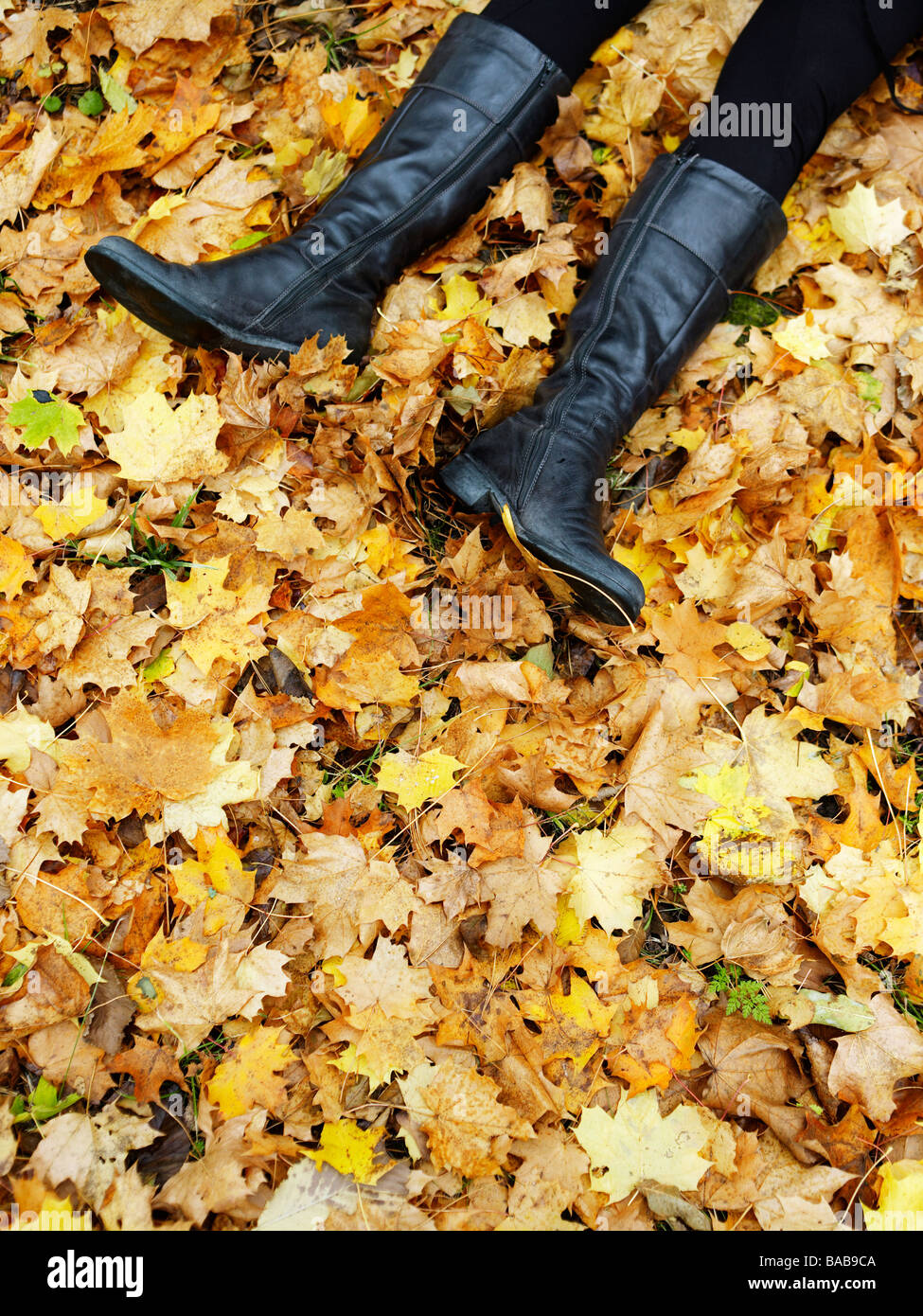 Legs lying on autumn leaves Sweden. Stock Photo