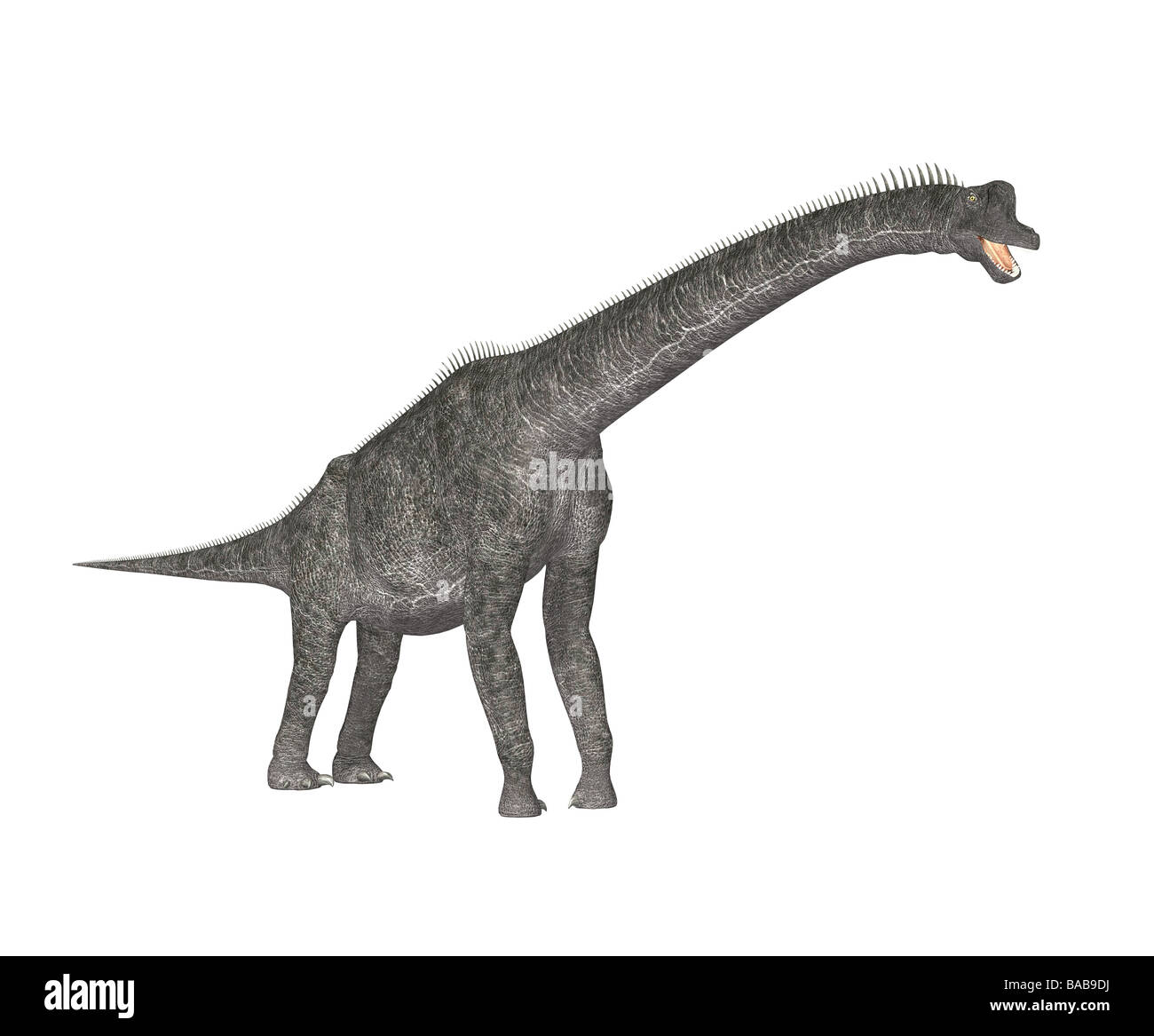 dinosaur Brachiosaurus Stock Photo