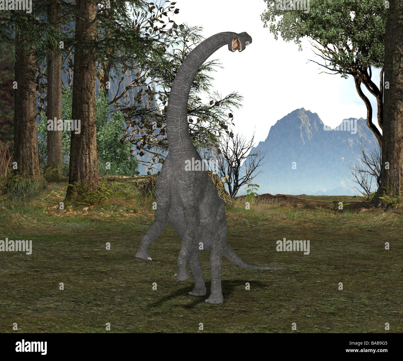 dinosaur Brachiosaurus Stock Photo