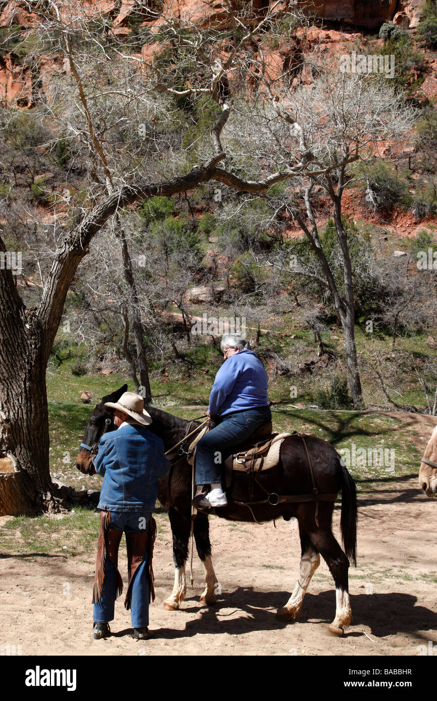 horseback riding zion lodge zion canyon national park utah usa Stock
