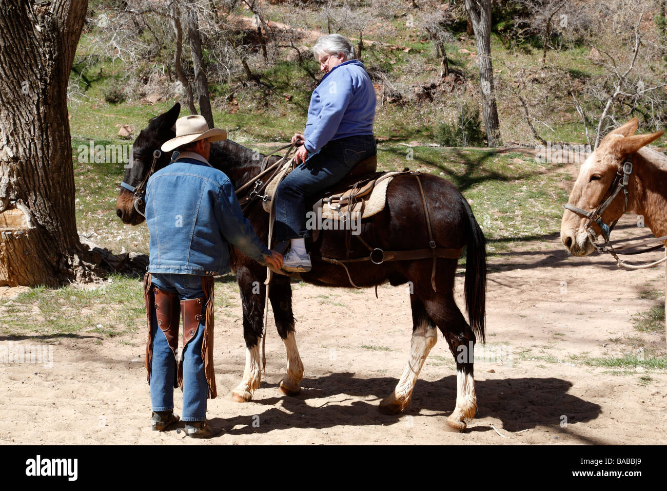 horseback riding zion lodge zion canyon national park utah usa Stock