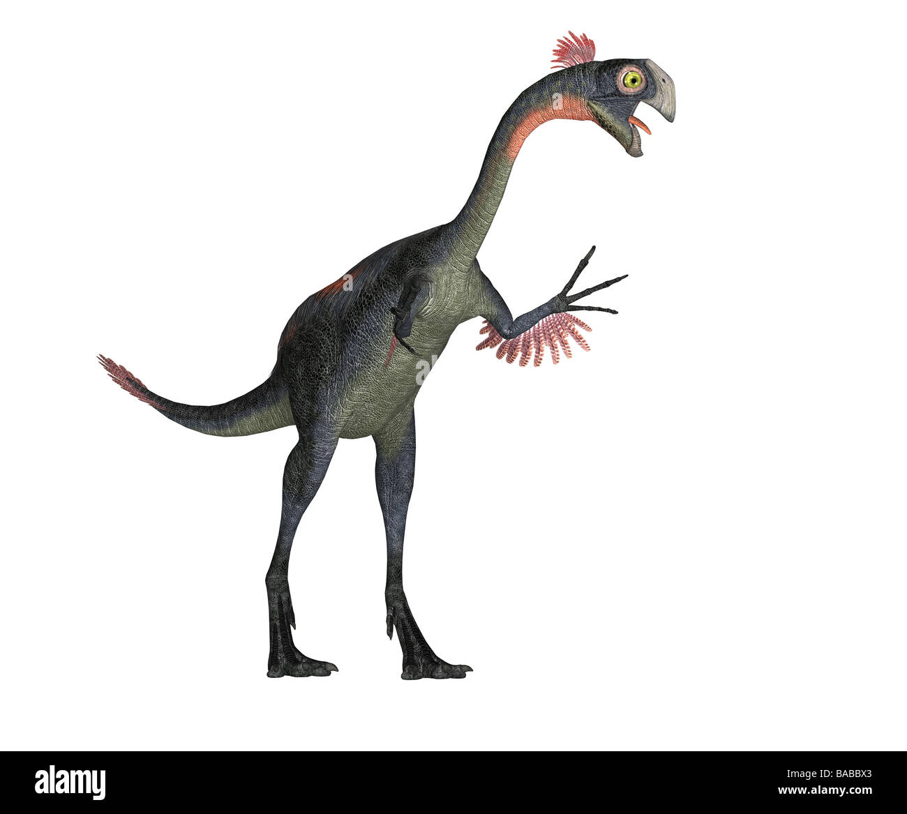 gigantoraptor vs megaraptor