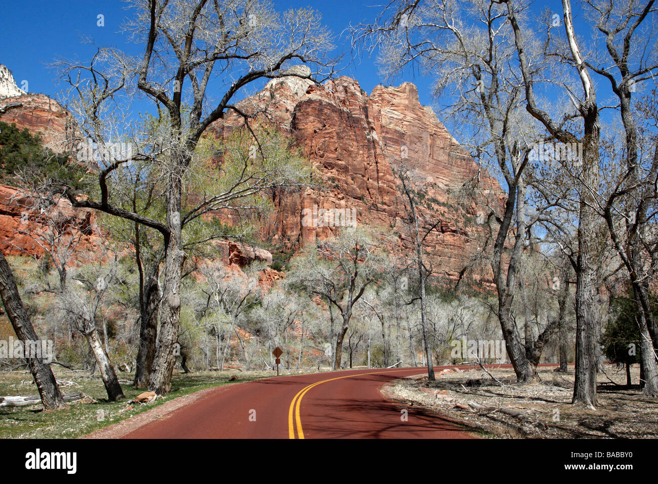 section of the scenic drive outside zion lodge zion canyon national park utah usa Stock Photo