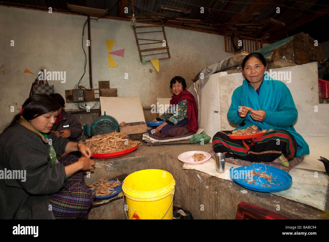 Women Workers stripping  fibers at Jungshi Handmade Paper Factory in Thimphu Bhutan, Asia 91017 Bhutan-Thimphu Stock Photo