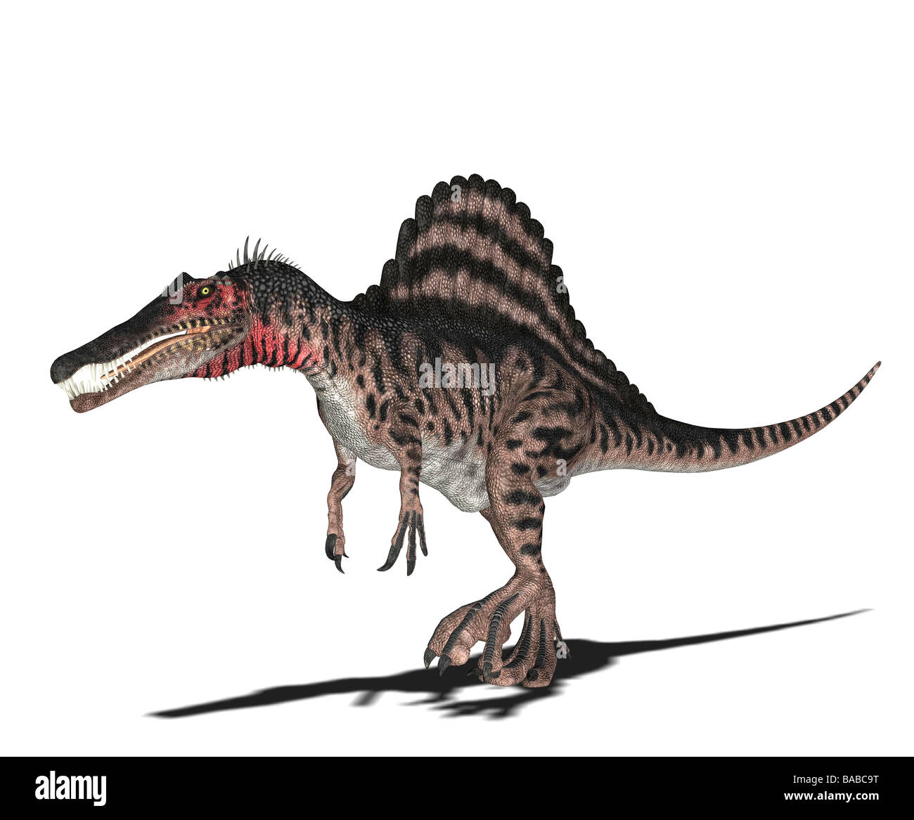 dinosaur Spinosaurus Stock Photo