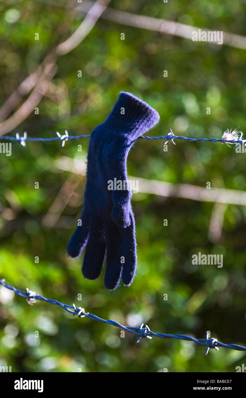 A lost woolen, blue glove left on a barbed wire fence. Stock Photo