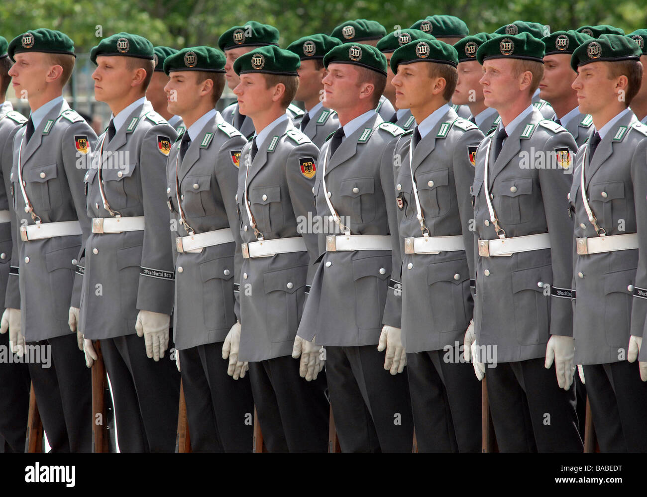 Guard of honor of German Armed Forces during visit of French prime minister Francois Fillon, Berlin, Germany Stock Photo