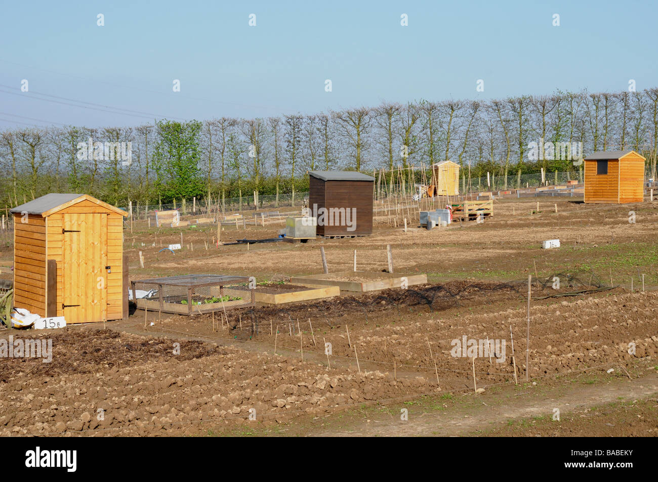 New allotments at Greenway Fruit Farm, Herstmonceux, East Sussex Stock