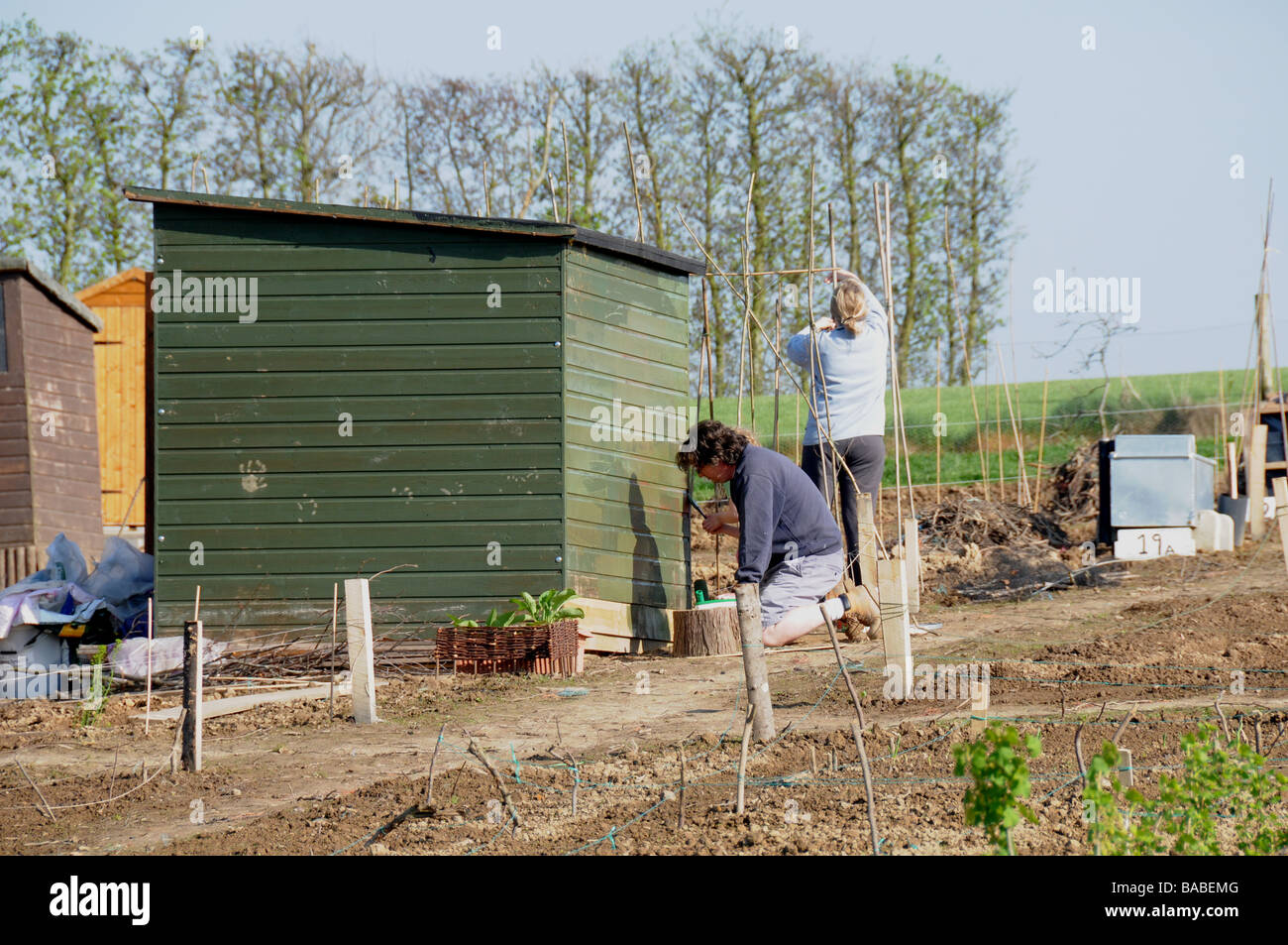 New allotment tenants at Greenway Fruit Farm, Herstmonceux, East Sussex, painting their shed on their plot. Stock Photo