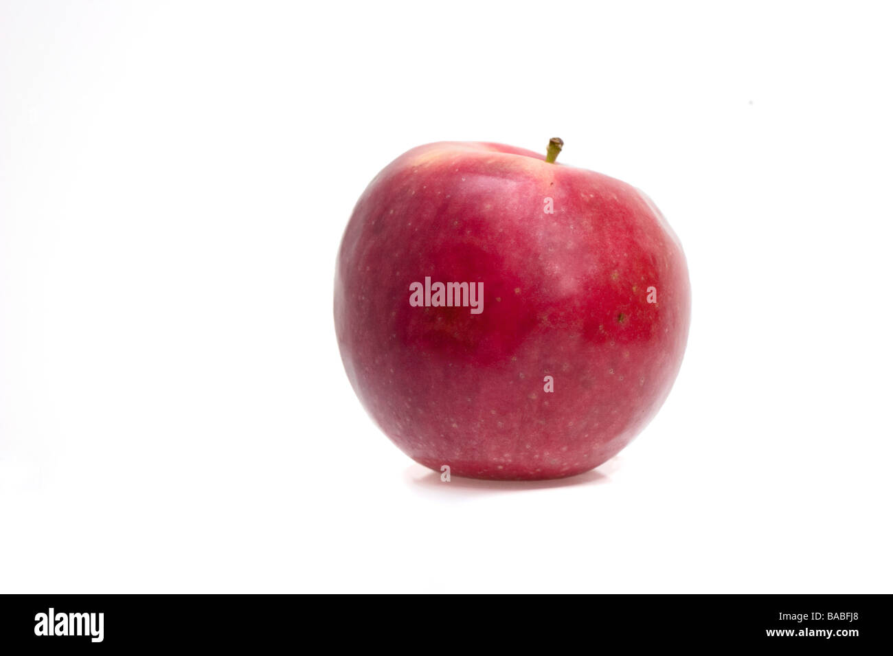 A jonamac apple on a white background Stock Photo Alamy